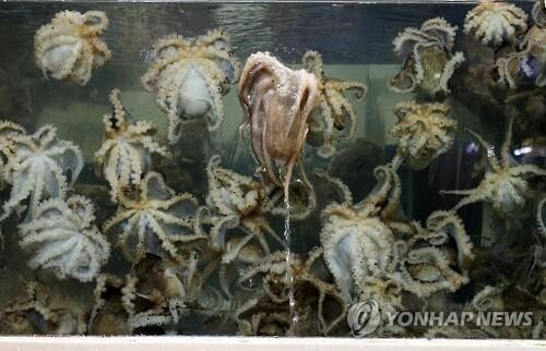 "코로나19 확산 막자" 충남 서해안 수산물축제 줄줄이 취소