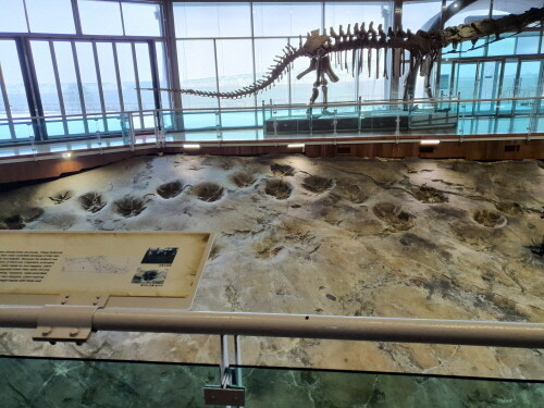 해남 우항리 공룡 화석지, 국가중요과학기술자료 등재