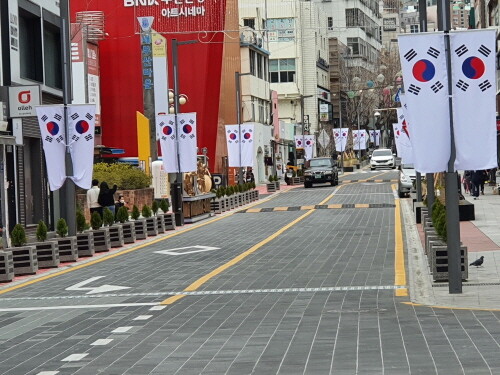 부산 중구, 제102주년 삼일절 기념 광복로 태극 물결 조성