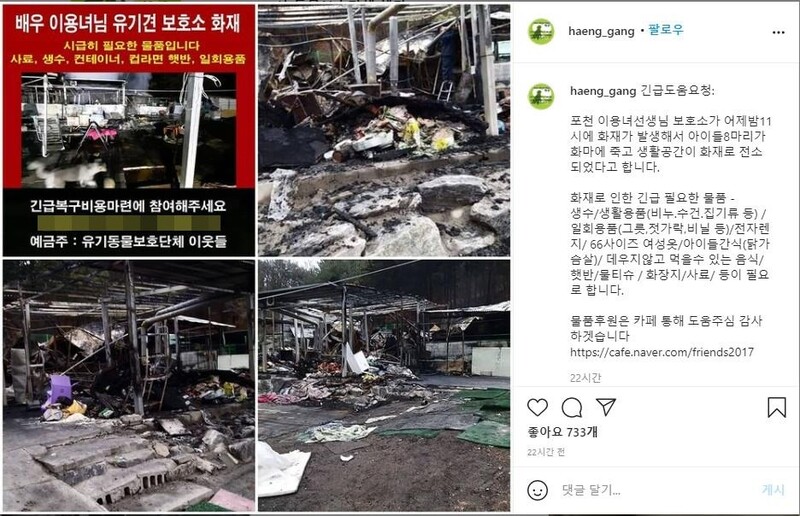 이용녀 유기견보호소 불나 8마리 희생…"견사에서 개들과 쪽잠"