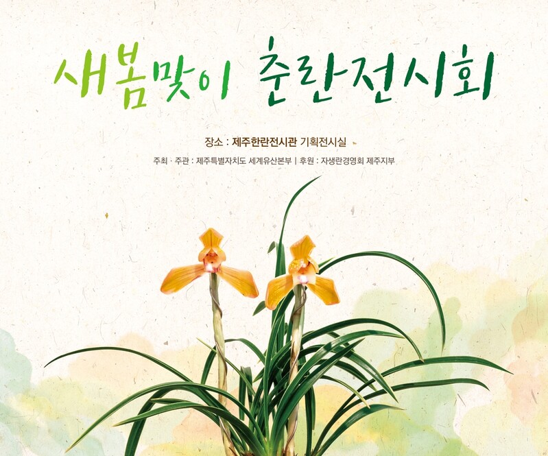 제주 한란전시관서 5∼6일 봄 알리는 '춘란' 전시회 열려