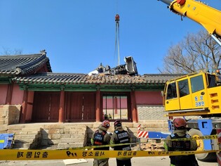 Seoul's Confucius' Shrine damaged while pruning trees