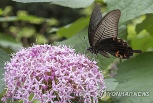 작은 충격이 어떻게 시스템 전체를 위험에 빠뜨릴까?