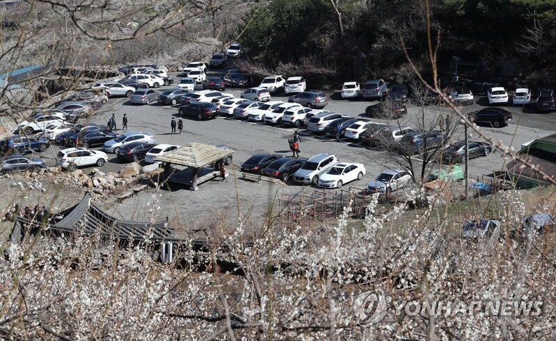 "오는 사람 막을 수도 없고"…상춘객 발길에 지자체 '고민'