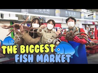 Visit S. Korea's largest fish market and enjoy 20 different kinds of seafoods on the spot