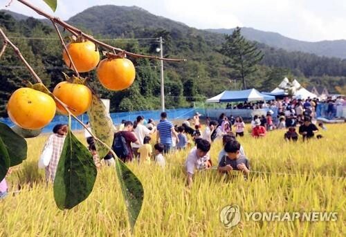 완주 와일드푸드축제→ 와일드&로컬푸드축제로 명칭 변경