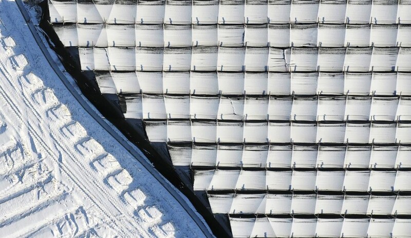 [imazine] 위대한 유산 ③ 고려인삼