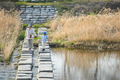 완주군 '경천애인 징검다리길', 펫 친화 관광지 지정