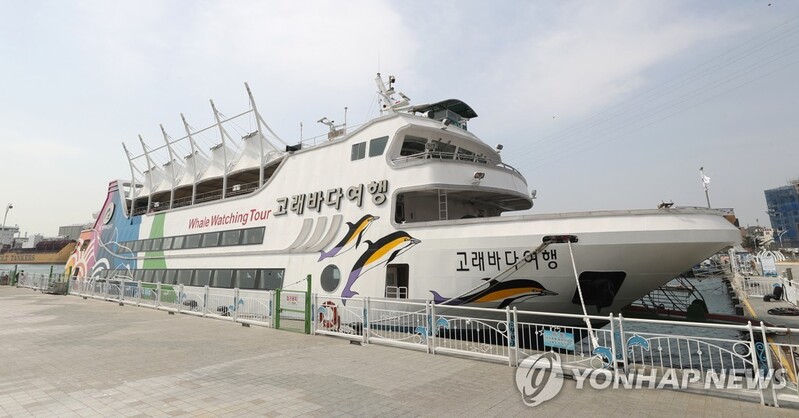 울산고래바다여행선 4월 10일 운항…3시간 동안 고래 탐사