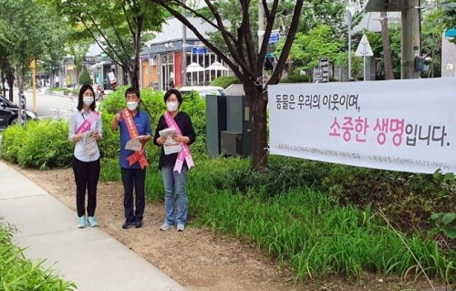 마포구, '동물보호 명예감시원 신청하세요'