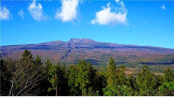 [게시판] 국립문화재연구소·국립중앙과학관·세계유산본부 MOU