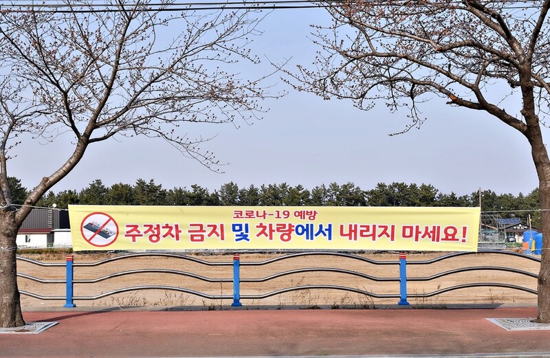 코로나19가 앗아간 삼척 맹방의 노란 봄