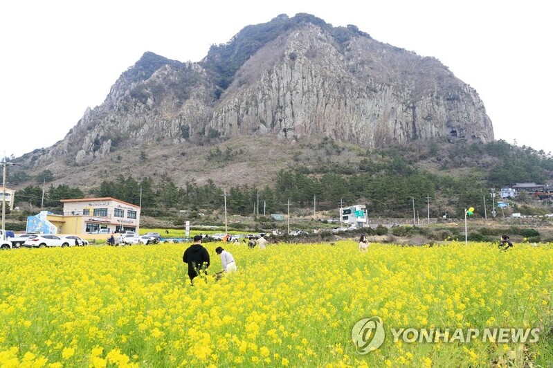 "여행수요 회복" 제주 소비자심리지수 3개월 연속 상승