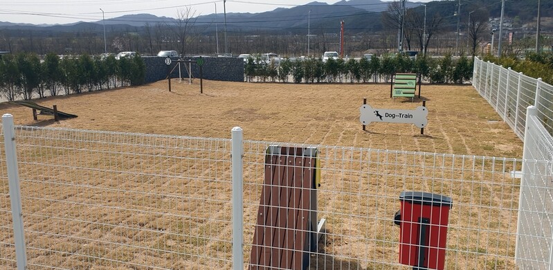 춘천 공공 '반려견 놀이터' 10일 개장