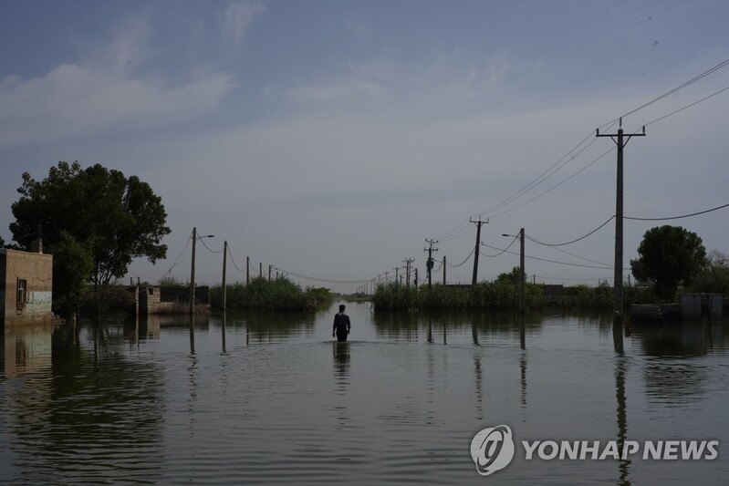 아시아 최고영화로 인정한 울주세계산악영화제 역대 넷팩상 작품