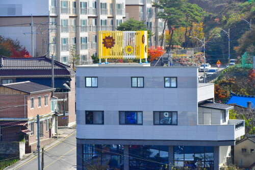 장성군, 군민과 함께 '옐로우시티 장성' 디자인