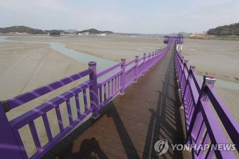 퍼플섬·갯벌·천일염…세계인들, 신안 매력에 푹 빠졌다