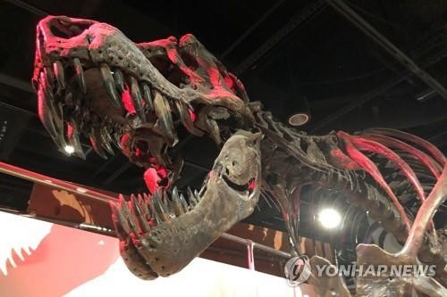 공포의 육식공룡 티라노사우루스가 25억 마리?
