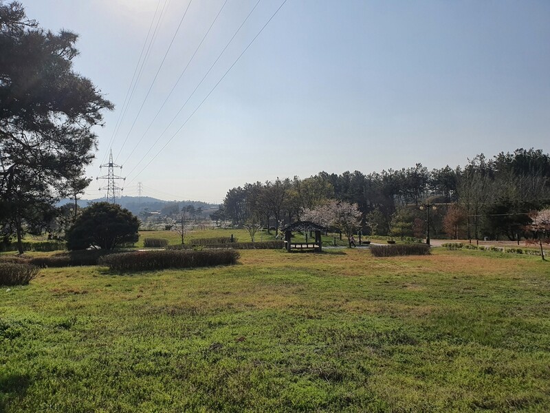 [문화소식] 익산 쌍릉 앞 송전탑 지중화 추진