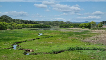 함안군, 고환경 복원·역사유적 입지분석 연구용역 착수보고회