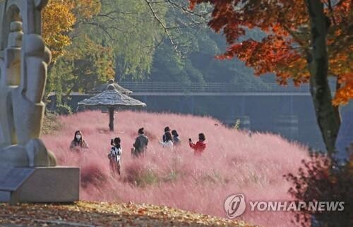 임실 사선대 사계절 화원으로 조성…옥정호와 연계 관광 추진