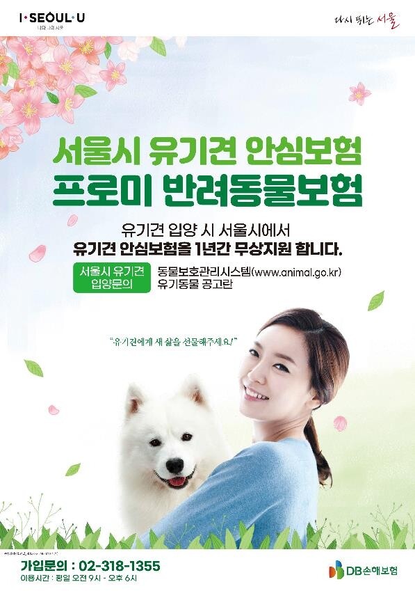 서울시 "유기동물 입양 시민에게 안심보험 가입 지원"