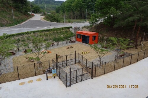 강릉시, 반려견과 반려인이 함께 뛰어놀 수 있는 공간 조성