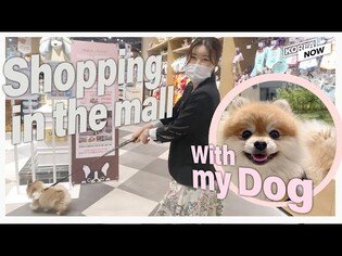 Welcome to Korea's first dog friendly mall, Starfield City Wirye!