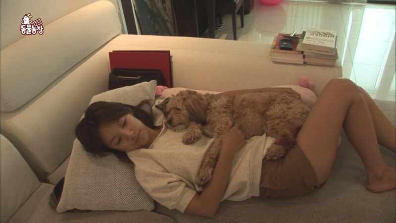 이효리가 반려견 순심이와 함께한 3천647일