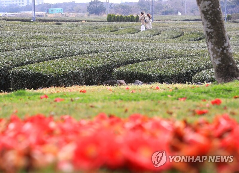 제주관광공사, 중화권 개별관광객 유치 여행상품 발굴