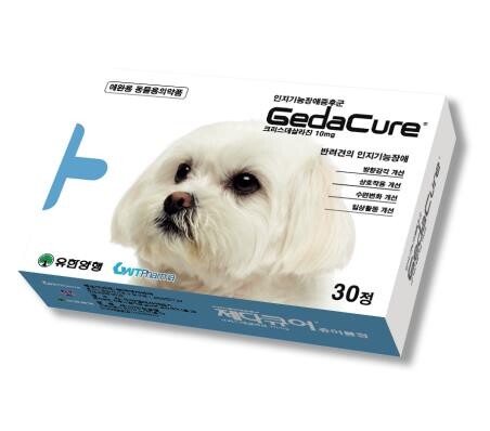 유한양행, 반려견 인지기능장애증후군 치료제 시장 진출