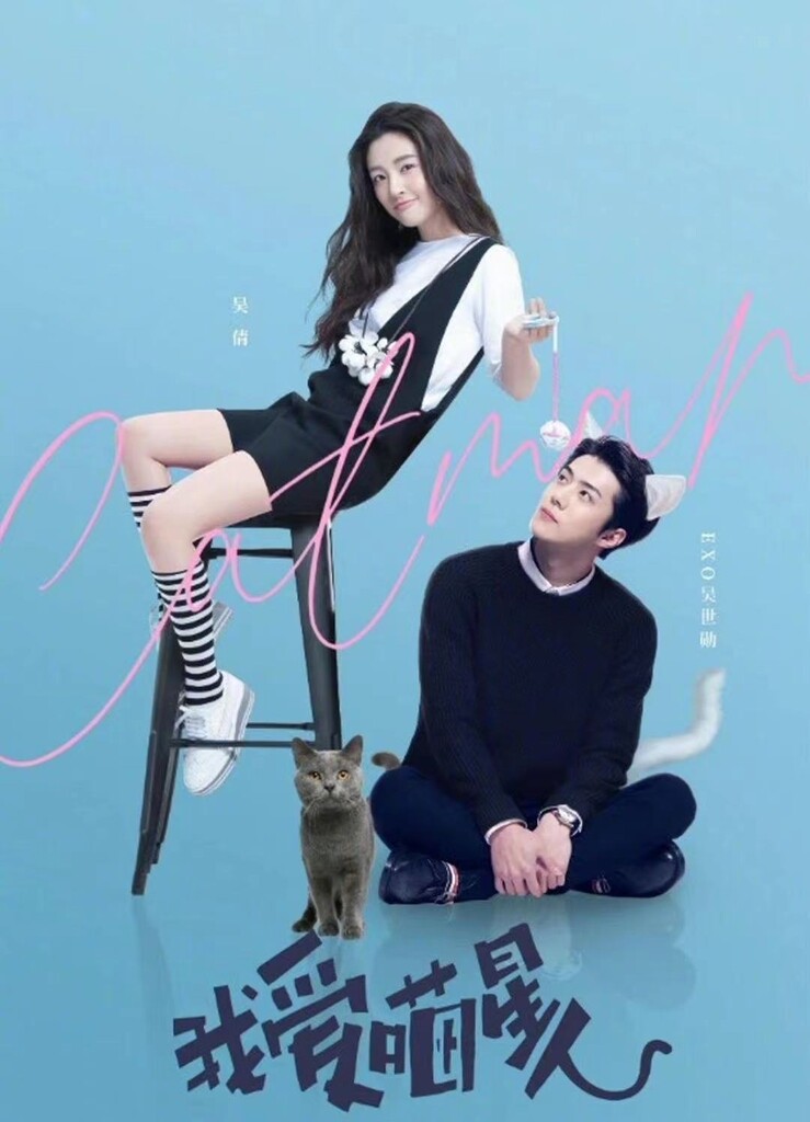 중국서 사드로 개봉 미뤄진 엑소 주연작 결국 온라인 상영