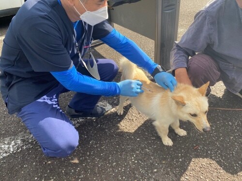 의령군, 광견병 무료 순회 접종 실시