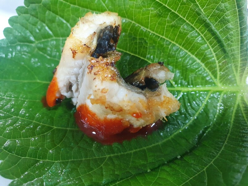 [알쏭달쏭 바다세상Ⅲ](16) 담백한 맛에 '흠뻑'…포항 검은돌장어