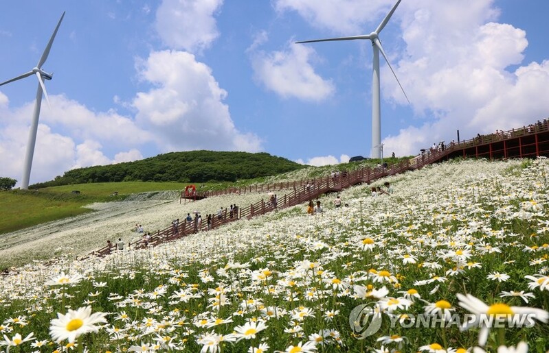 평창군 청옥산에 10억 들여 무장애 나눔 길 조성