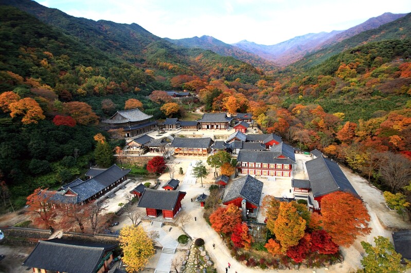 화엄사권역 100만 관광객 찾는 치유·생태 관광지로 꾸민다