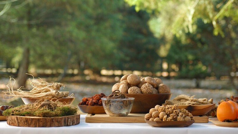 임산물 국가통합상표 'K-포레스트 푸드' 시범사업 추진