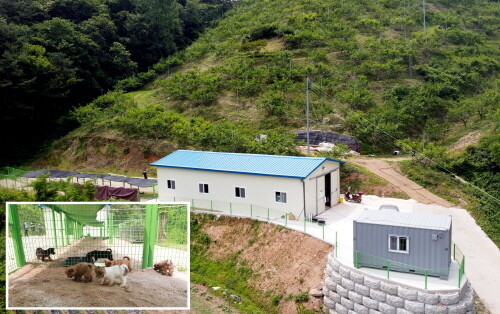 의령군, 유기 동물 보호 센터 시설 보완 완료