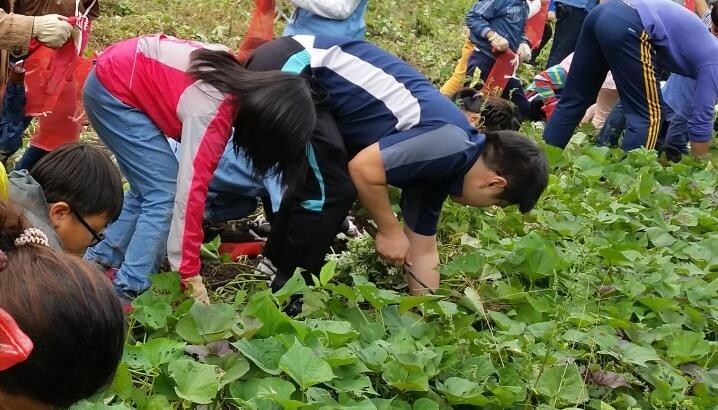순창군, 8명 이상 단체관광객에 교통편·체험비·숙박비 지원