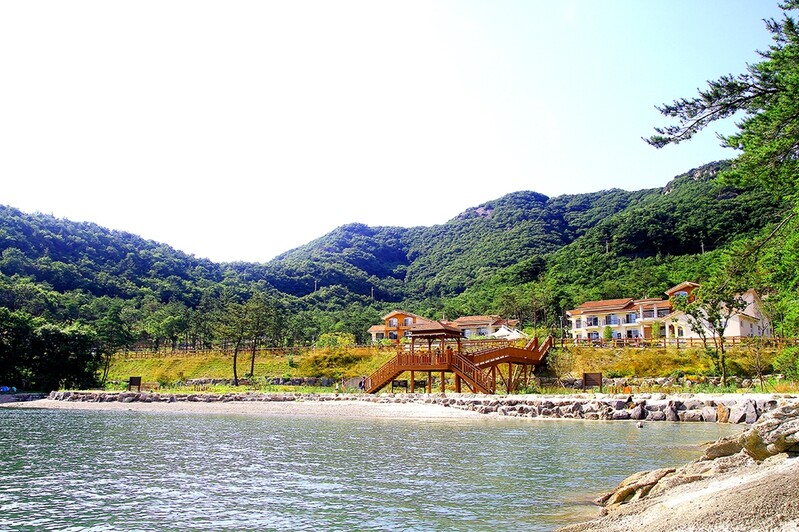 국립휴양림 최고 인기 객실은 변산 '위도항'…경쟁률 131 대 1