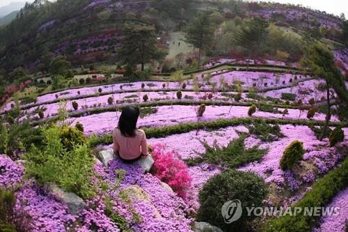 전북도 '테마가 있는 자연마을' 조성…완주 고산촌 등 4곳 선정