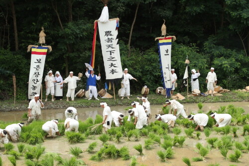 150여 년보은군, 150년 전통 보은 장안 농요 재연