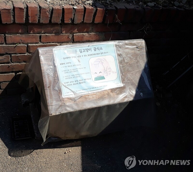 길고양이 돌본 주민 고양이 주인으로 인정될까