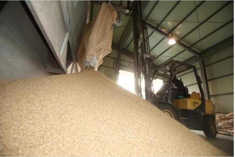 전남 친환경쌀, 15년째 여성이 뽑은 최고 명품 대상