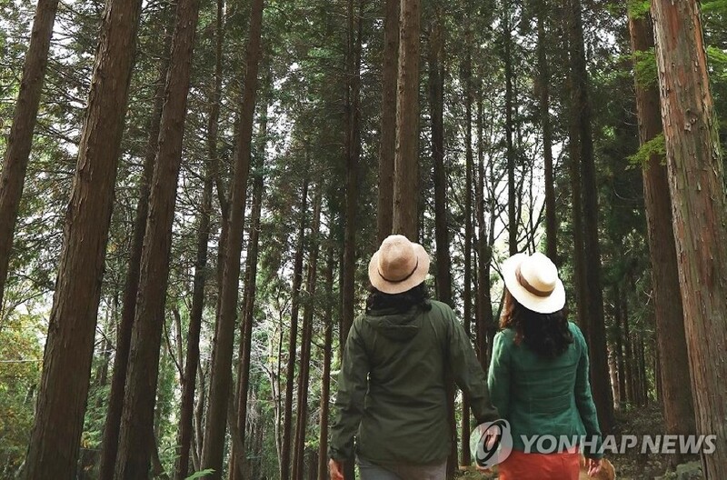 "자연환경 속 힐링"…경남 여름철 비대면 안심 관광지 18선