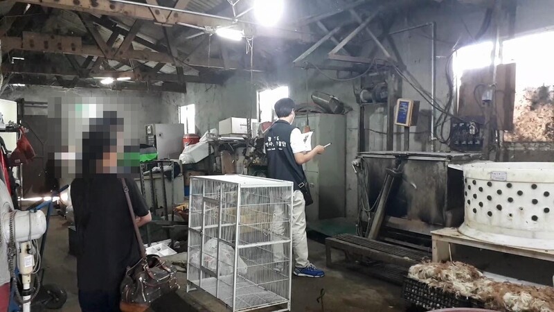 경기도, 동물 학대·불법판매 53곳 65건 적발