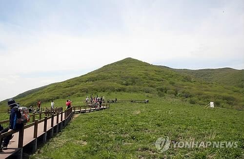 강원도 야외 안심 관광지·킬러콘텐츠 방문객 증가 '뚜렷'