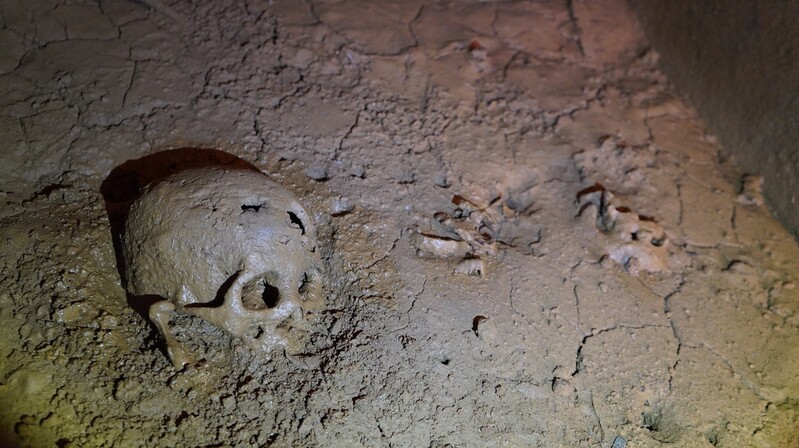 Two Specimens of Human Remains and Gilt-Bronze Earring Found in Baekje Tomb