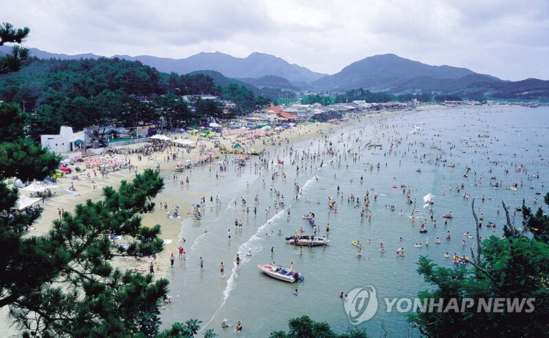 부안군, 변산해수욕장에 야영장 조성…"10일부터 운영"