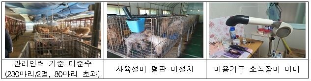 3단으로 쌓은 시설에 반려동물 사육…법규 위반 49건 적발